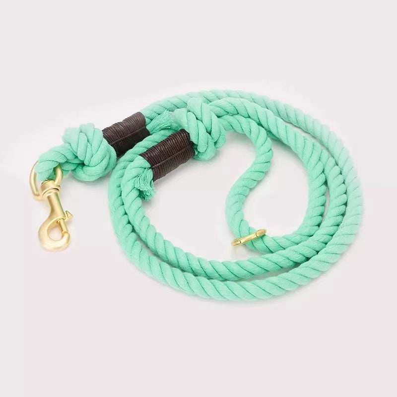 Correa de cuerda Pawsome Pets New York verde azulado