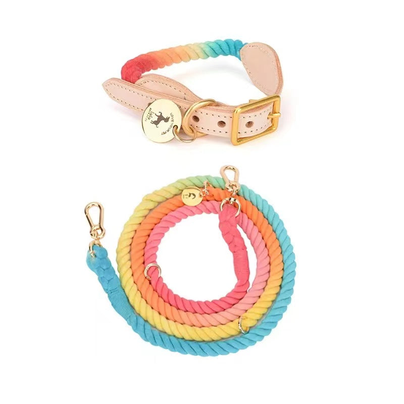 Correa manos libres y collar de cuero arcoíris Pawsome Pets New York