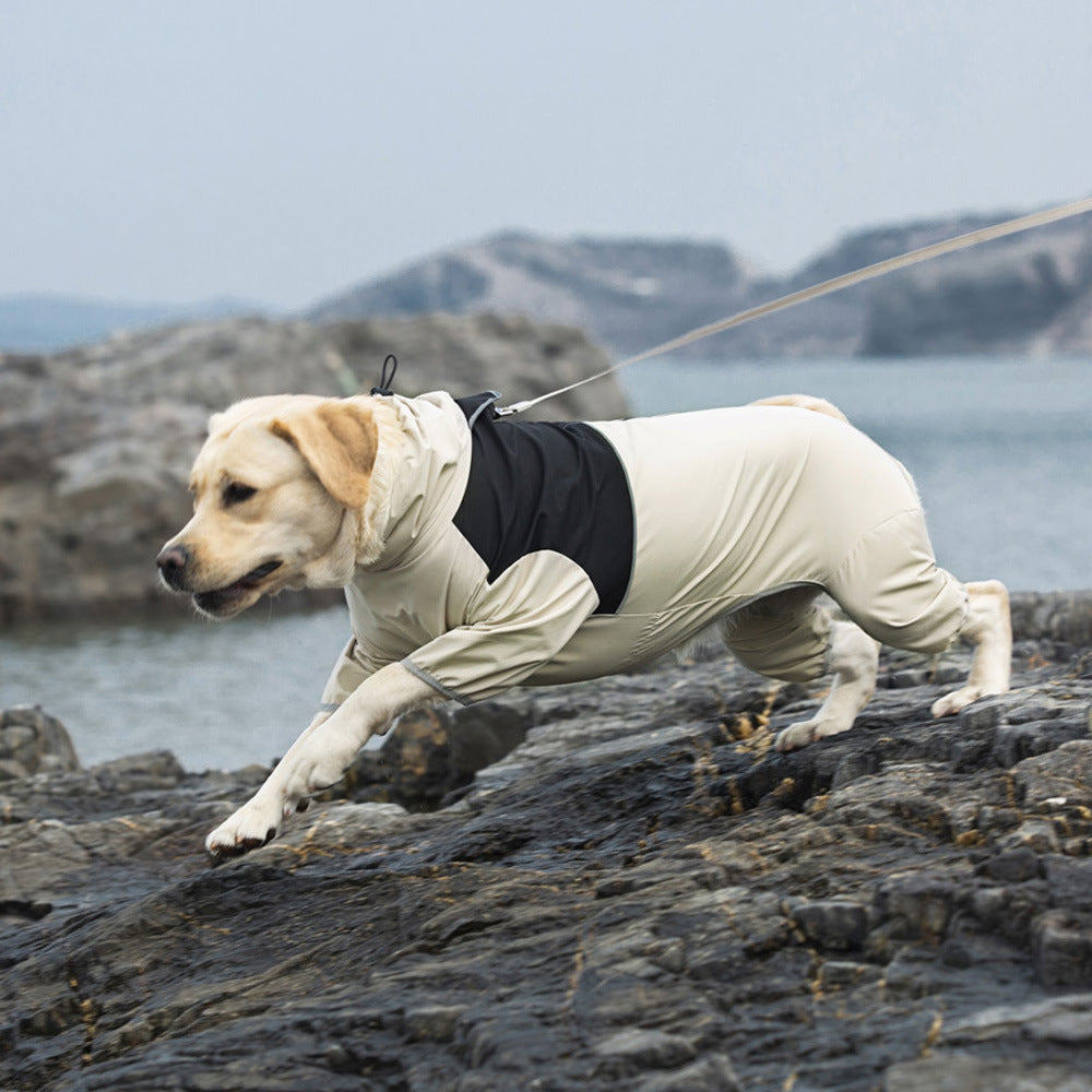 Chubasquero para perros