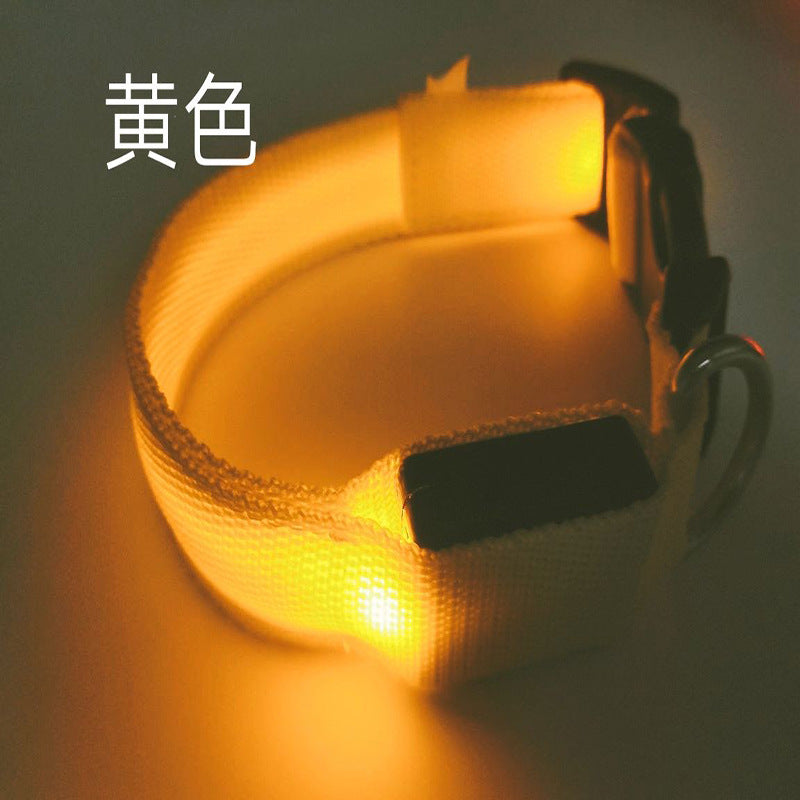 Collar LED recargable USB para perros