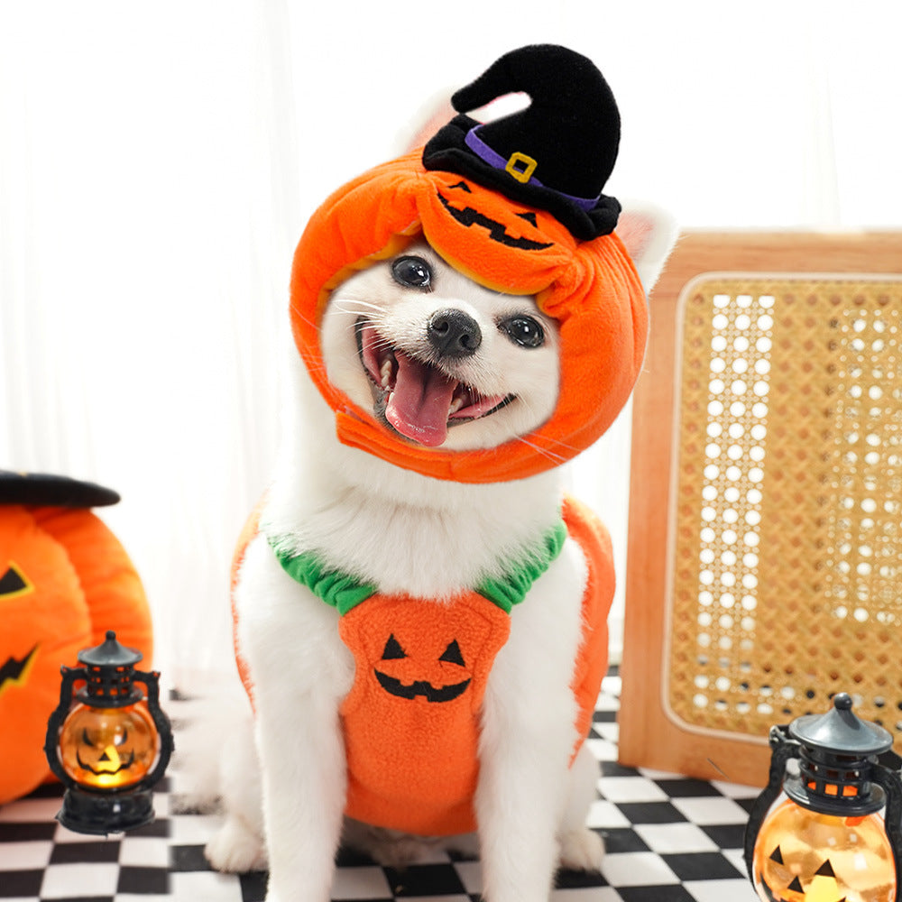 Disfraz de Halloween de Calabaza para Perros y Gatos, foto 4 de 10