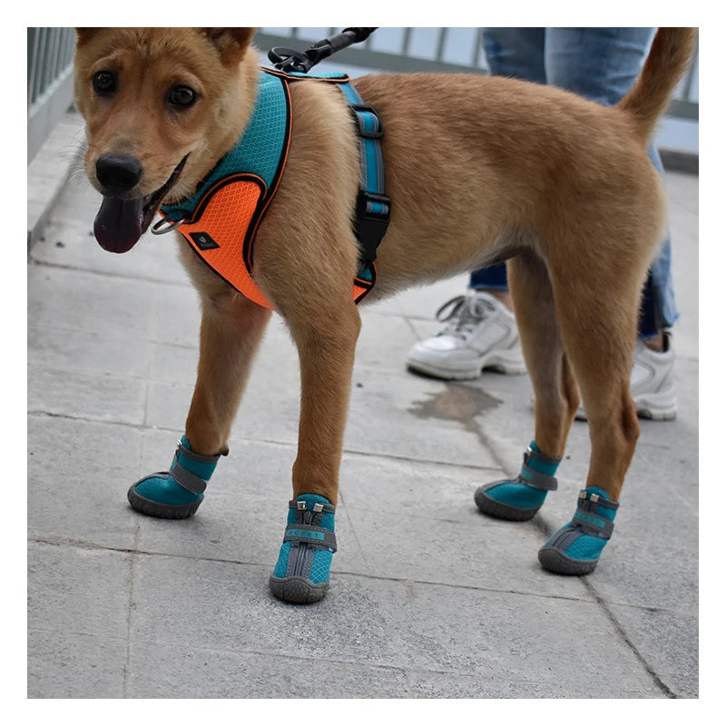 Zapatos transpirables antideslizantes para perros