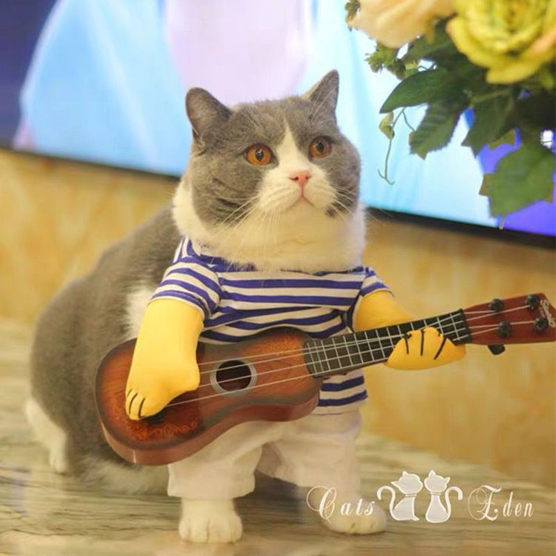 Disfraz para gato con bracitos · 4 modelos