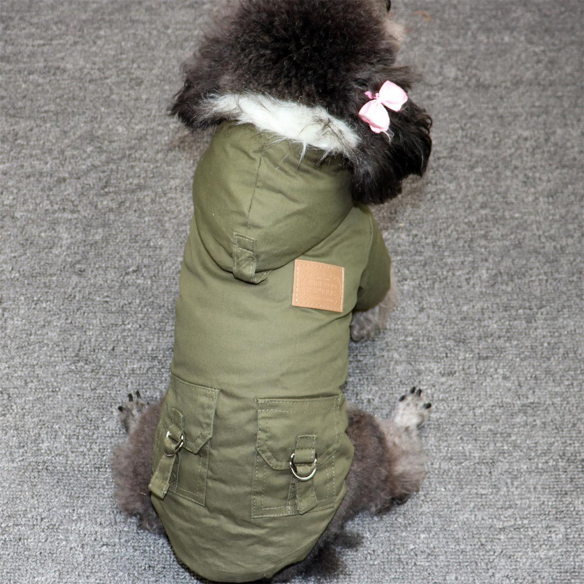Abrigo acolchado de invierno estilo deportivo para perros pequeños