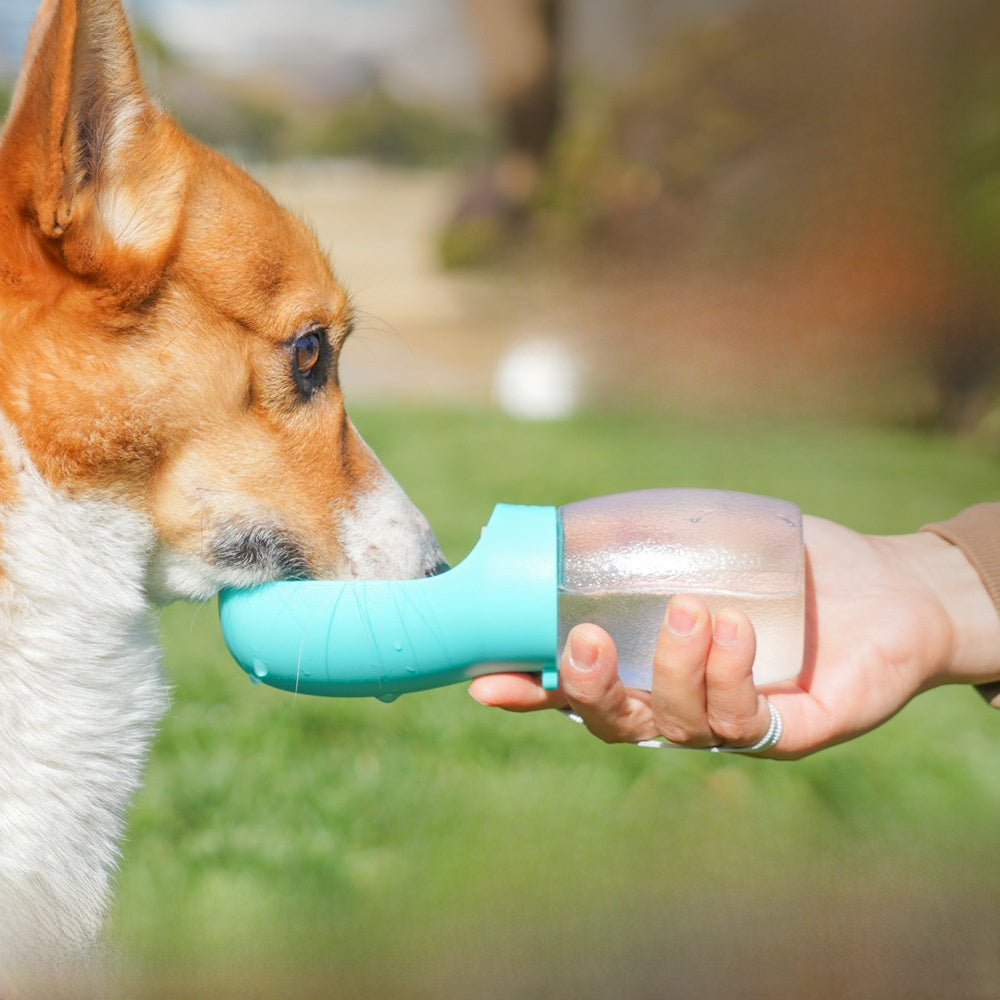 Botella de Agua Portátil Antifugas para Perros y Gatos, foto 4 de 10
