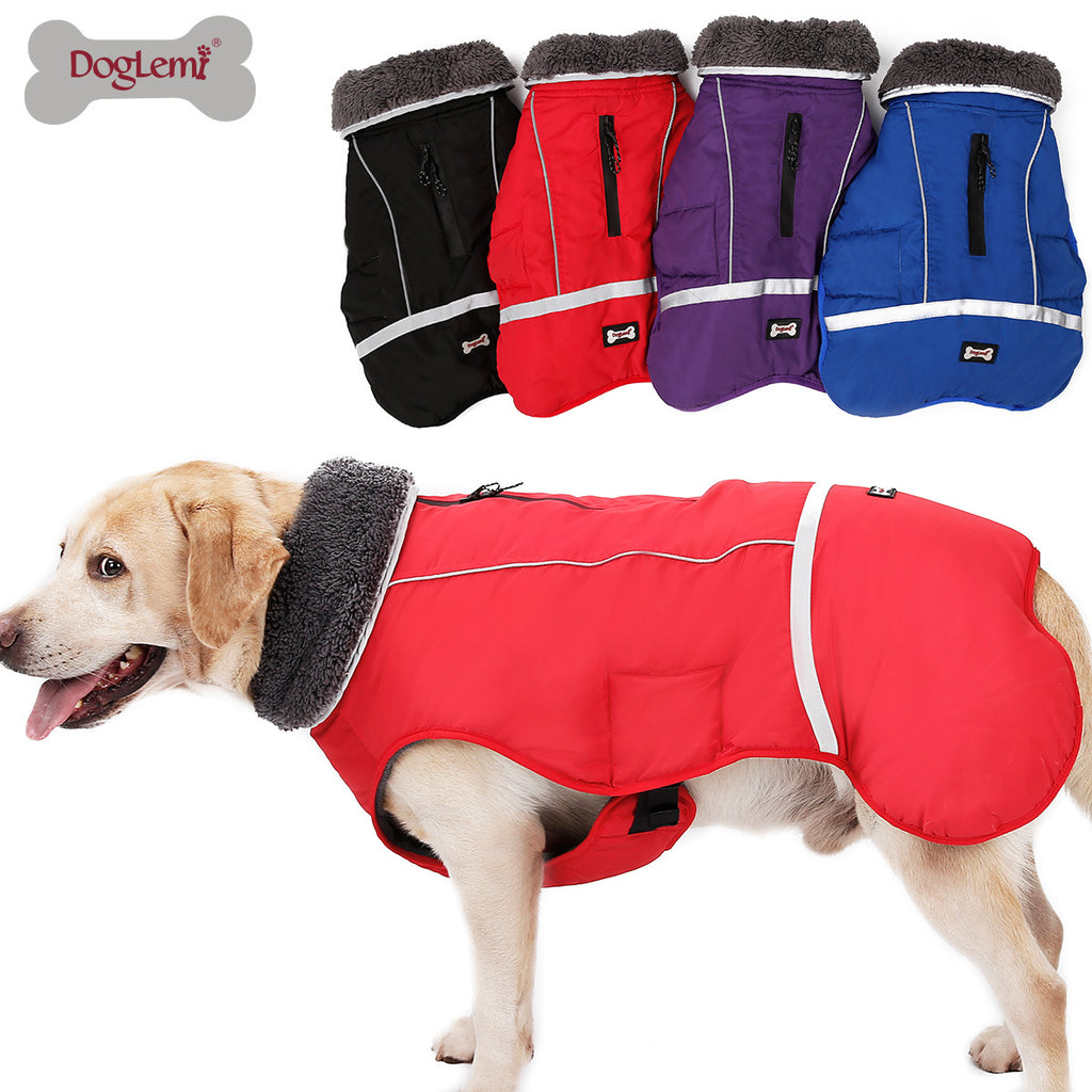 Abrigo de invierno para perros