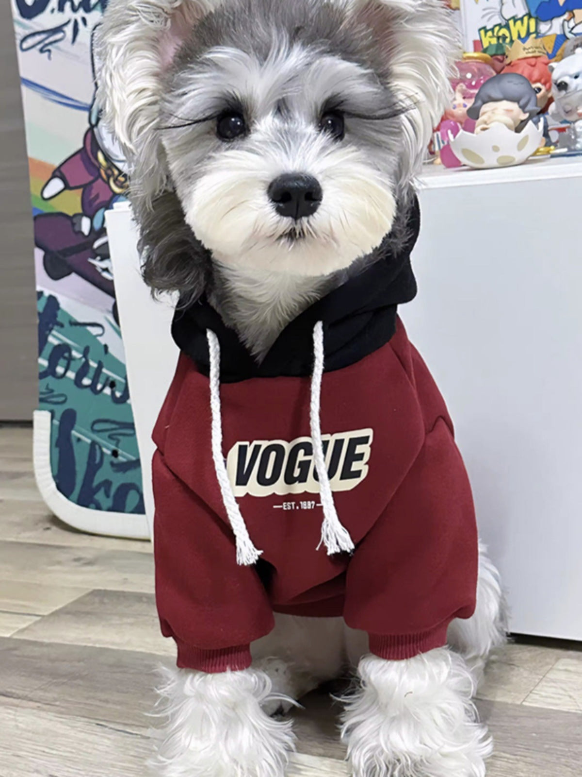 Sudadera con capucha para perros y gatos, foto 2 de 25