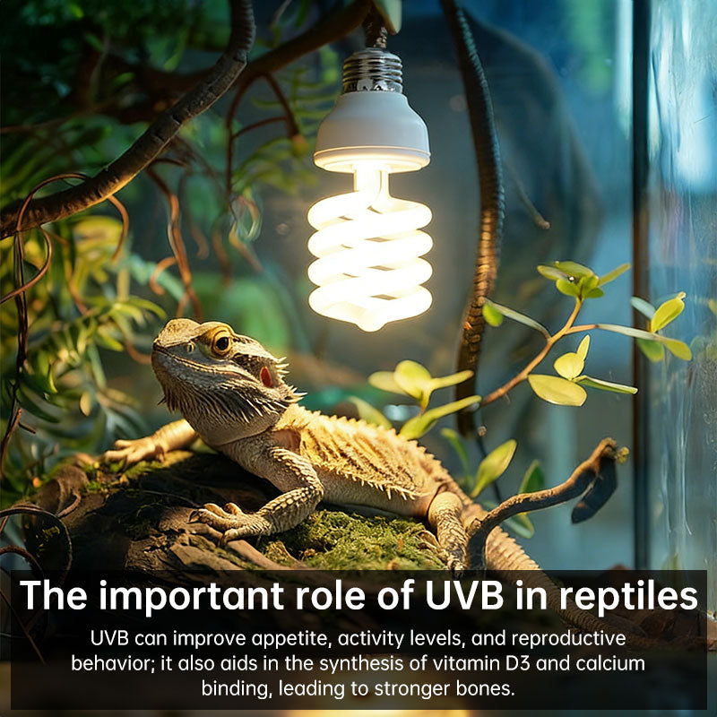 Bombilla UVB 13W para tortugas y reptiles (UVB 5.0 / 10.0) E27 220V