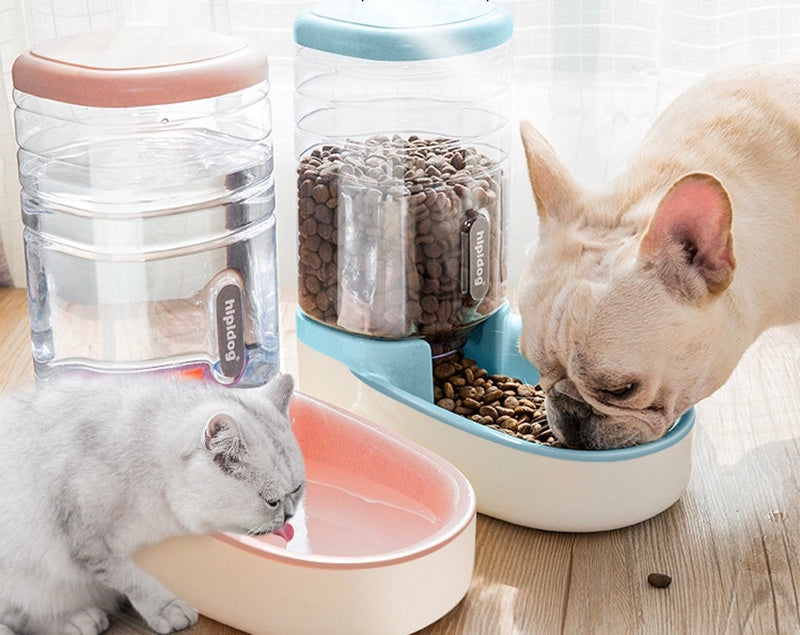 Comedero de Alimentación Lenta para Gatos
