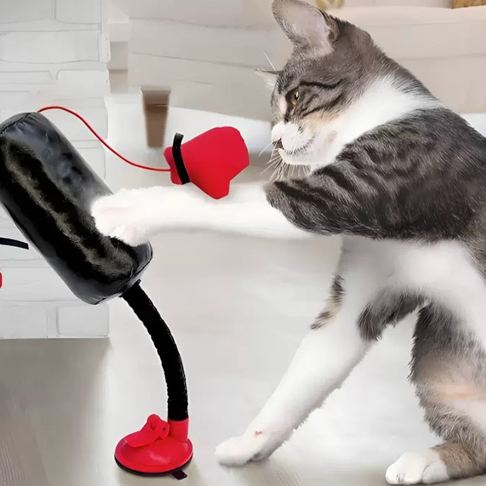 Juguete interactivo con muelle para gatos