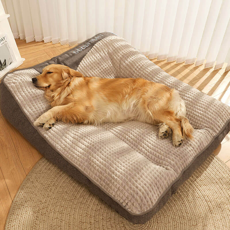 Cama lavable de esponja para perros medianos y grandes