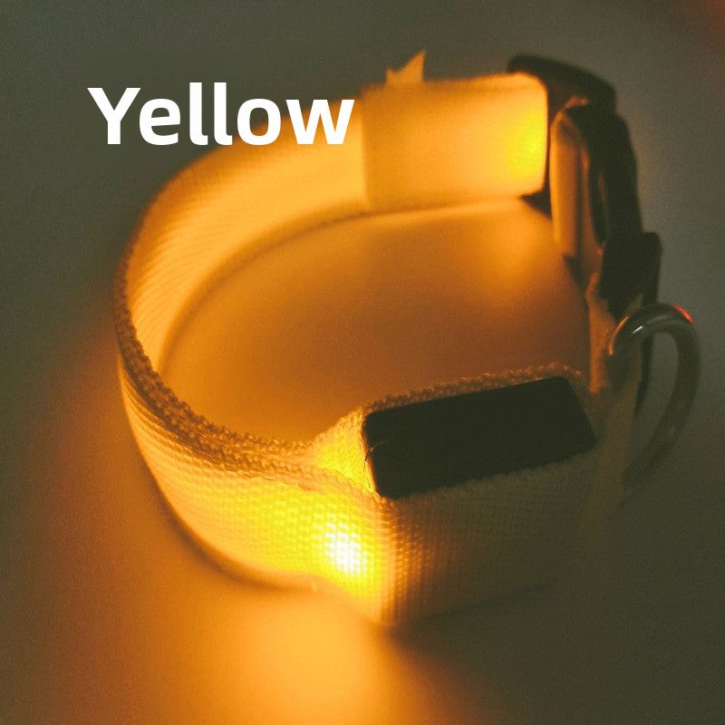 Collar LED recargable USB para perros