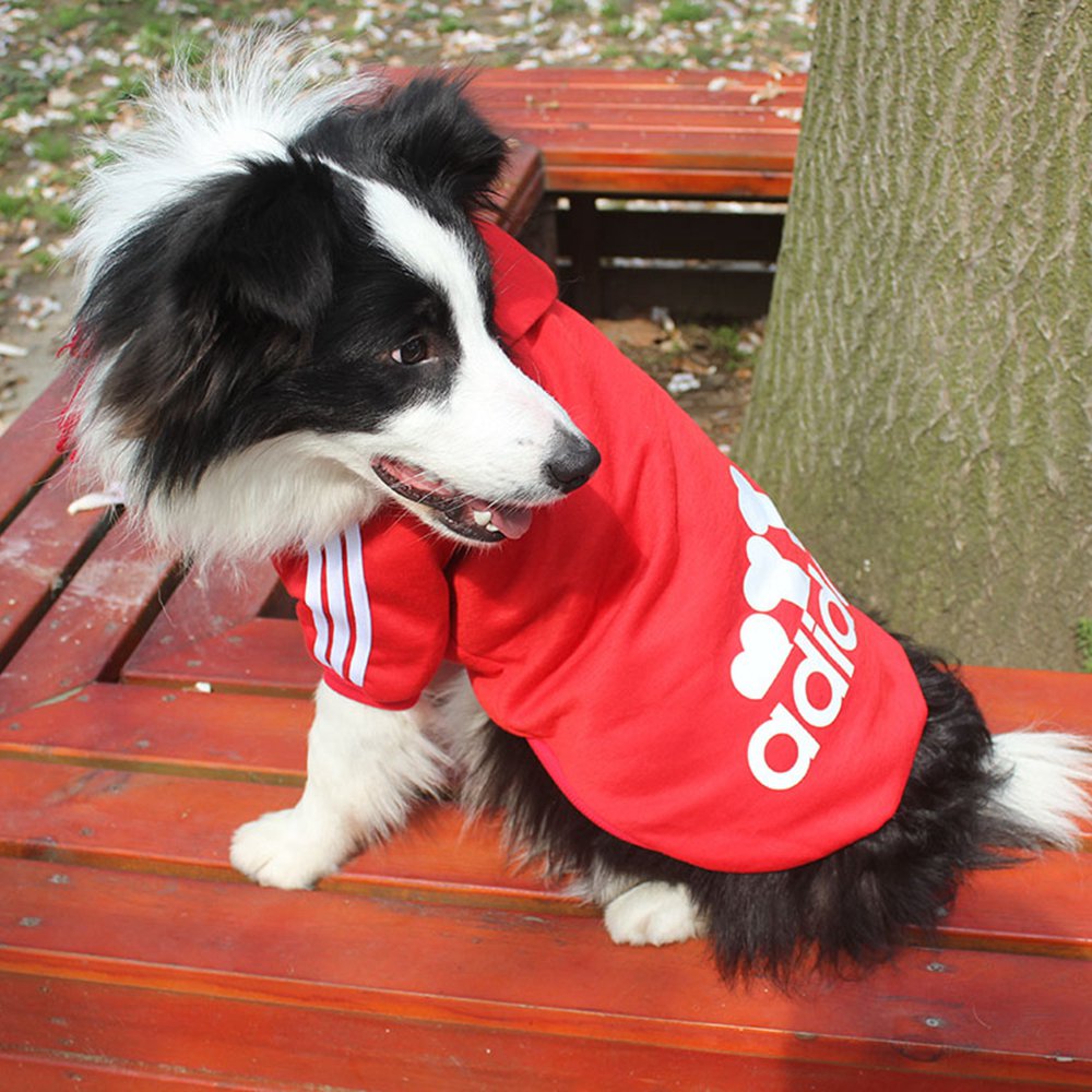 Sudadera con capucha para perros, de pequeños a grandes