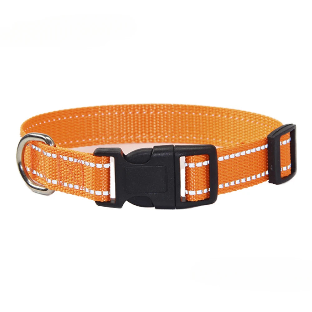 Set de collar y correa de poliéster para perros – Collar naranja
