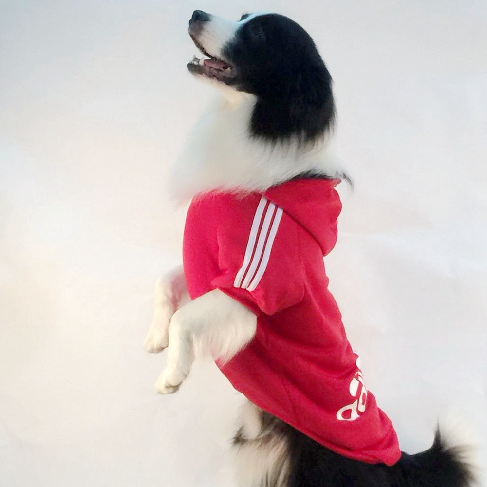 Sudadera con capucha para perros, de pequeños a grandes