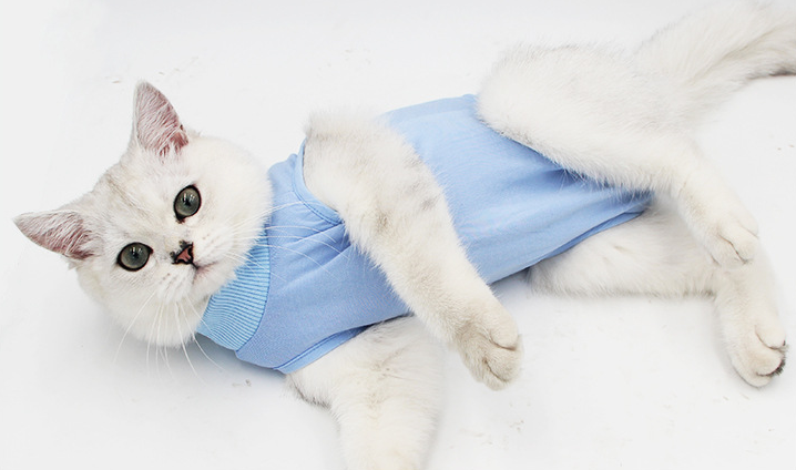 Body posoperatorio para gatos y perros pequeños