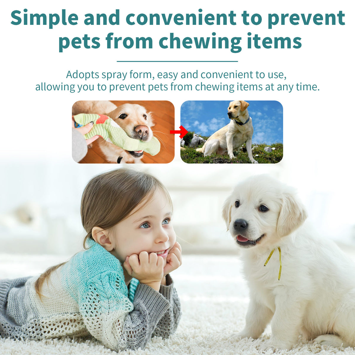 Spray corrector para evitar mordeduras en perros y gatos, foto 4 de 5