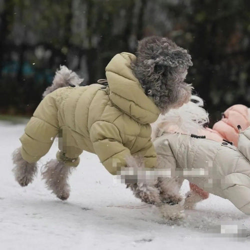 Abrigo de invierno de cuatro patas para perros pequeños