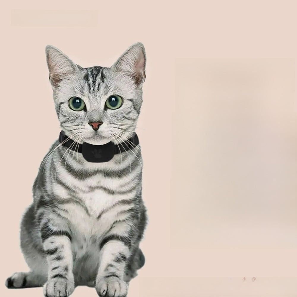 Localizador Bluetooth certificado por Apple (MFi) para mascotas, foto 5 de 8