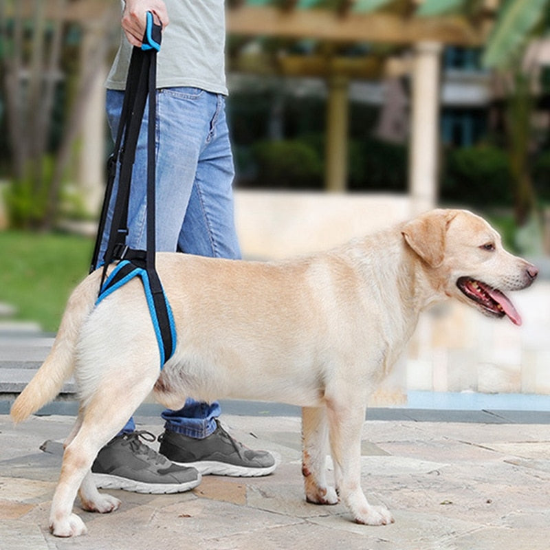 Arnés de apoyo para patas traseras de perros mayores