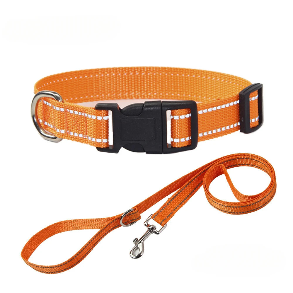 Set de collar y correa de poliéster para perros – Set naranja