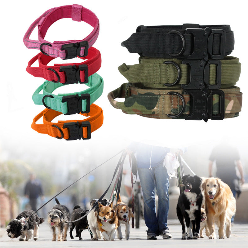 Collar y correa táctica para perros