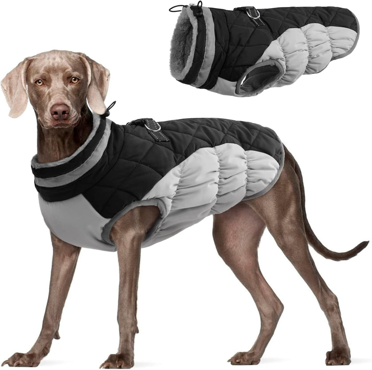Abrigo de invierno cortavientos forrado de polar para perros