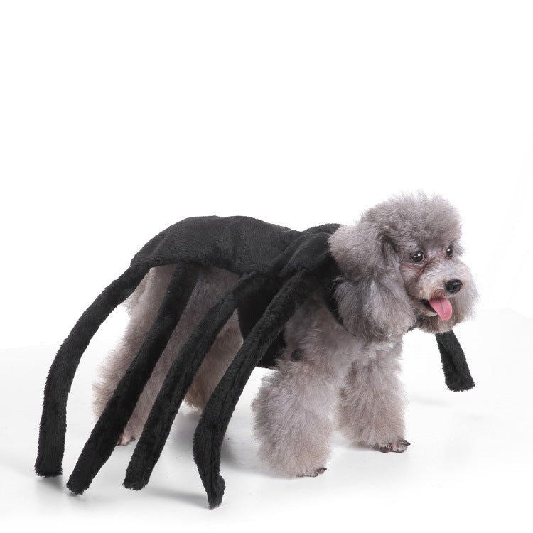 Disfraz de Halloween para perros y gatos, foto 3 de 11