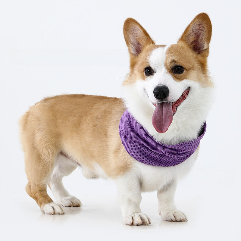 Bufanda refrescante para perros y gatos