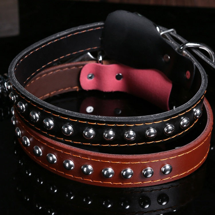 Collar y correa de cuero para perros medianos y grandes