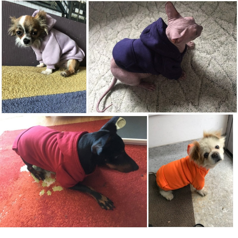 Sudadera de algodón para perros para otoño e invierno