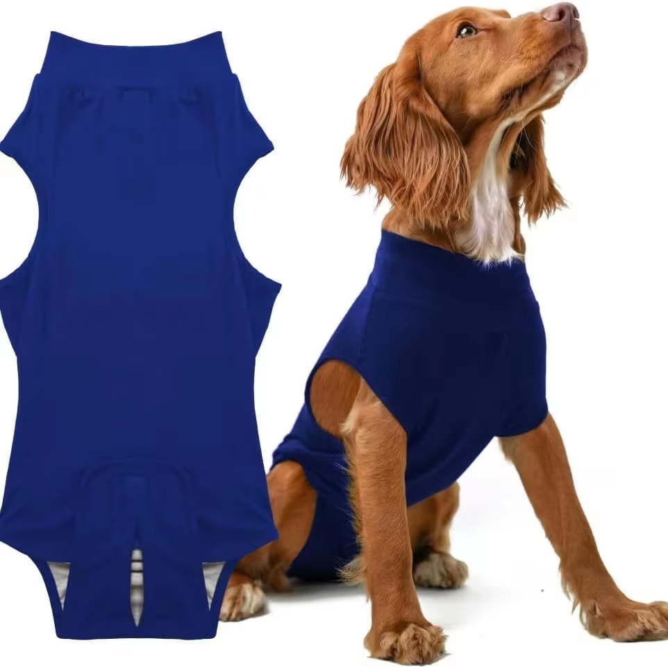 Traje de recuperación postoperatoria para perros – blue