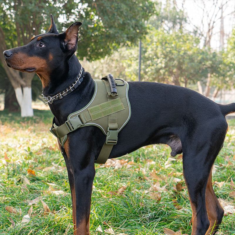 Chaleco táctico para perros grandes, foto 5 de 12