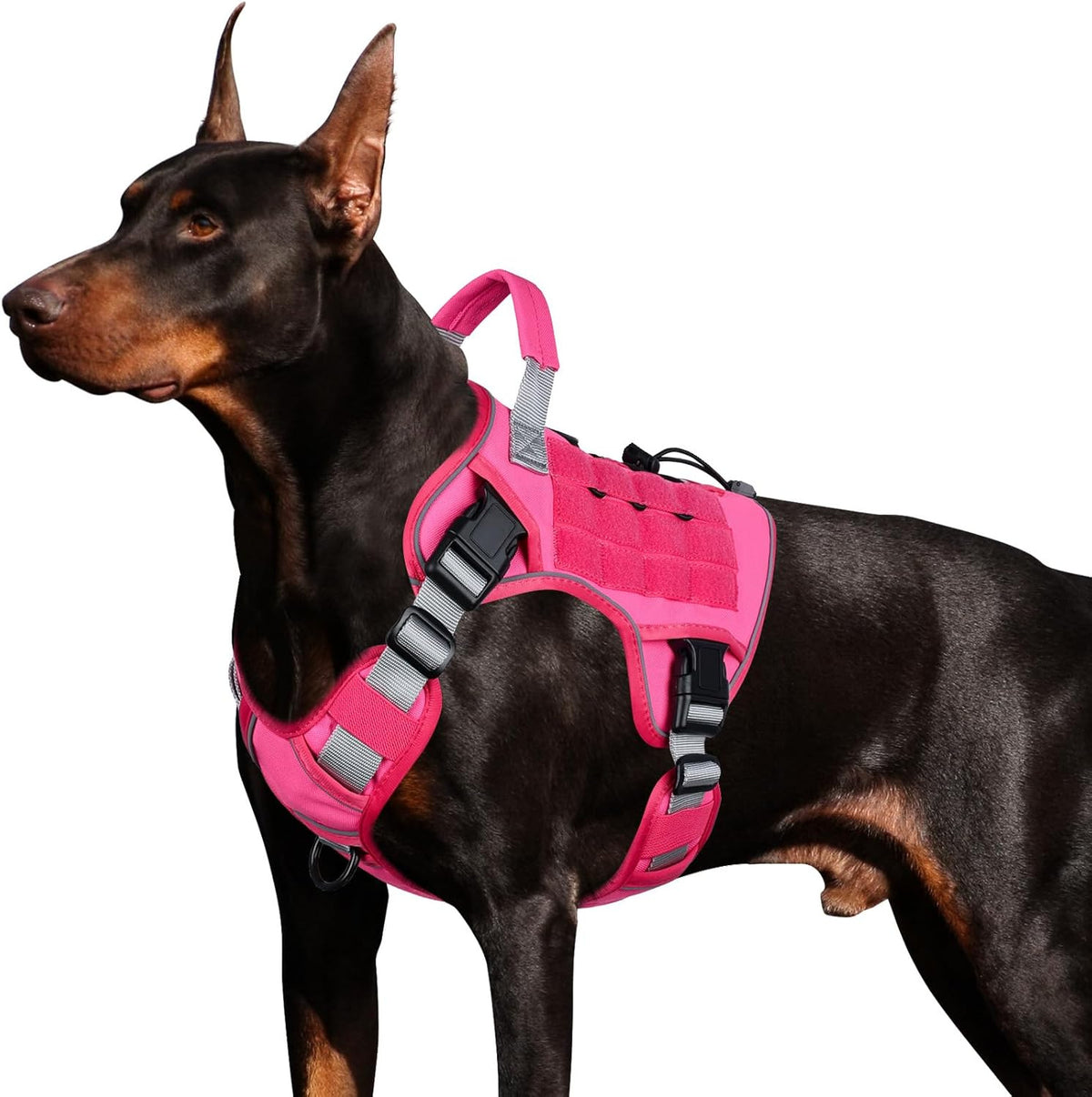 Arnés táctico con tiras reflectantes para perros