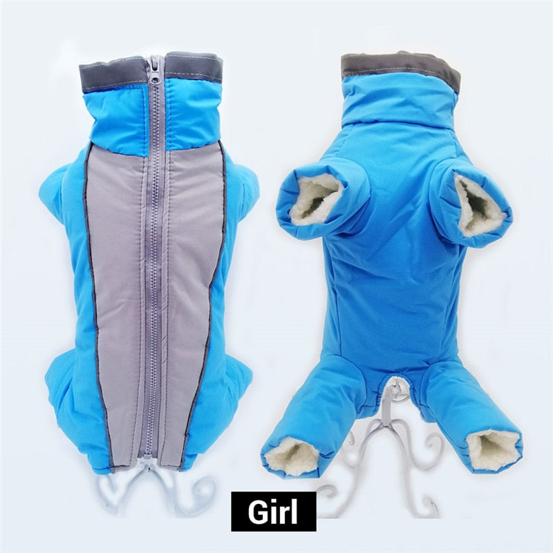Mono térmico impermeable reflectante para perros pequeños