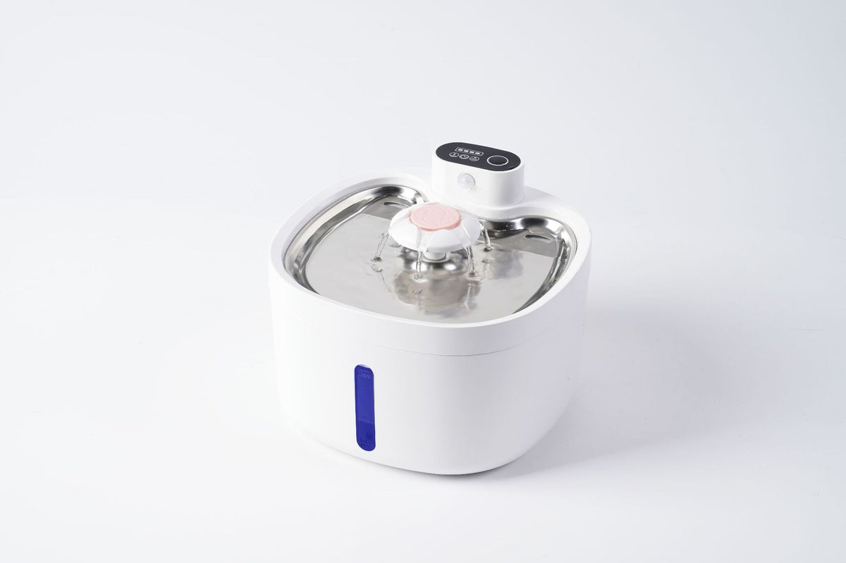 Fuente de agua inalámbrica para gatos