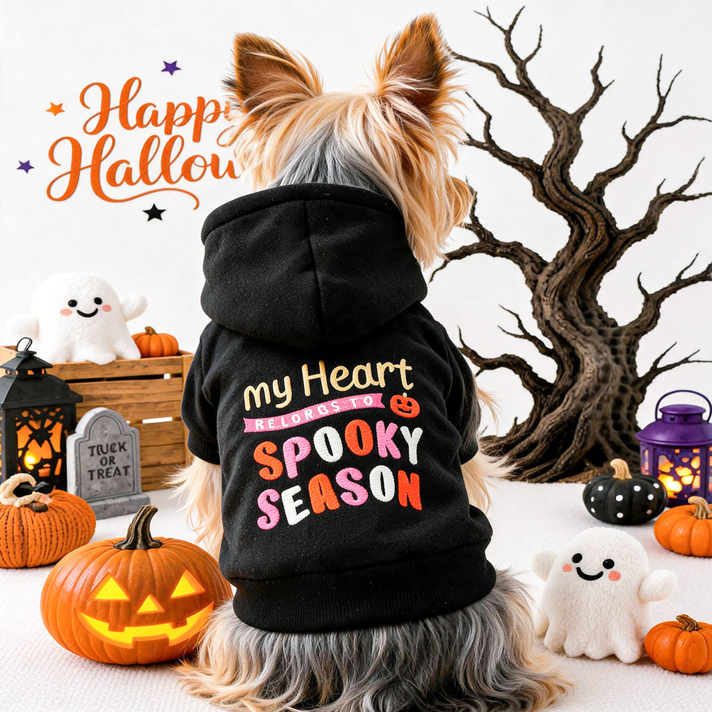 Sudadera negra de Halloween para perros y gatos