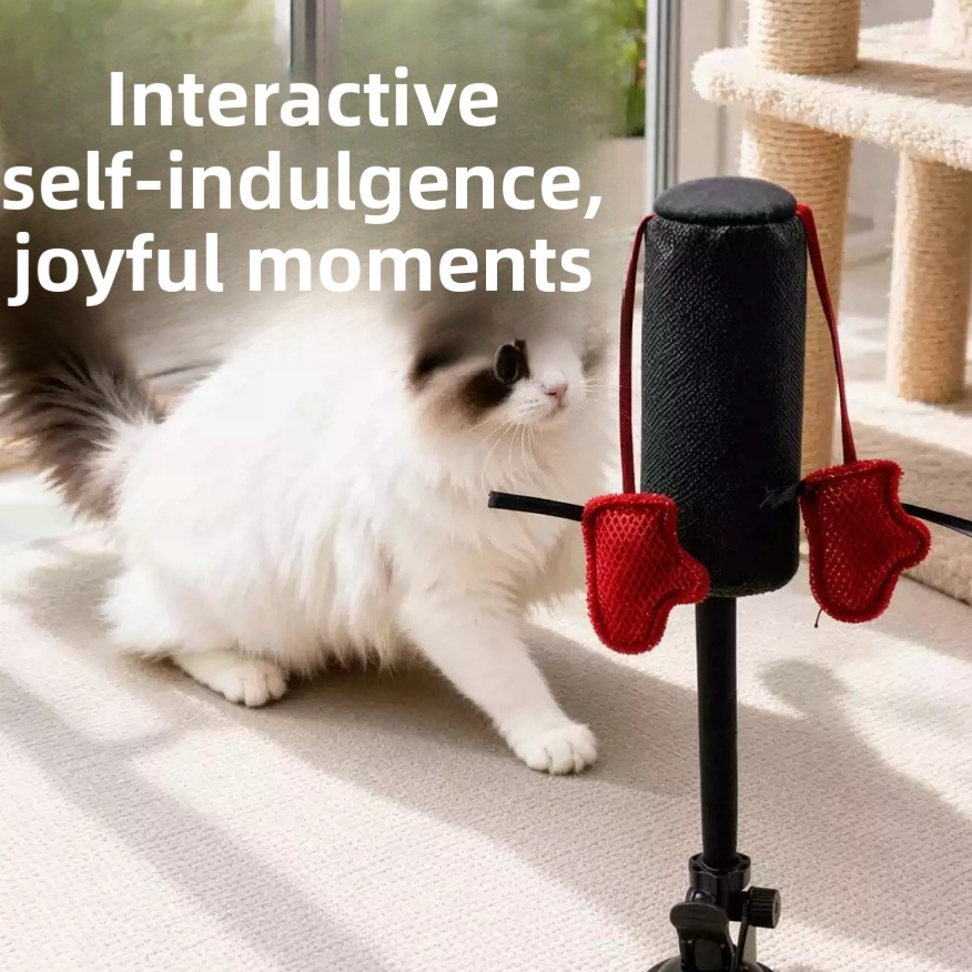 Juguete interactivo con muelle para gatos