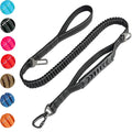 Correa Elástica Extensible de Nailon para Perros en color negro