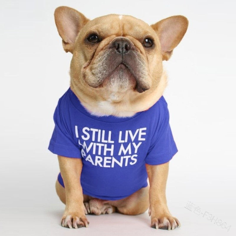Camiseta de Cuello Redondo para Perros y Gatos, foto 4 de 10
