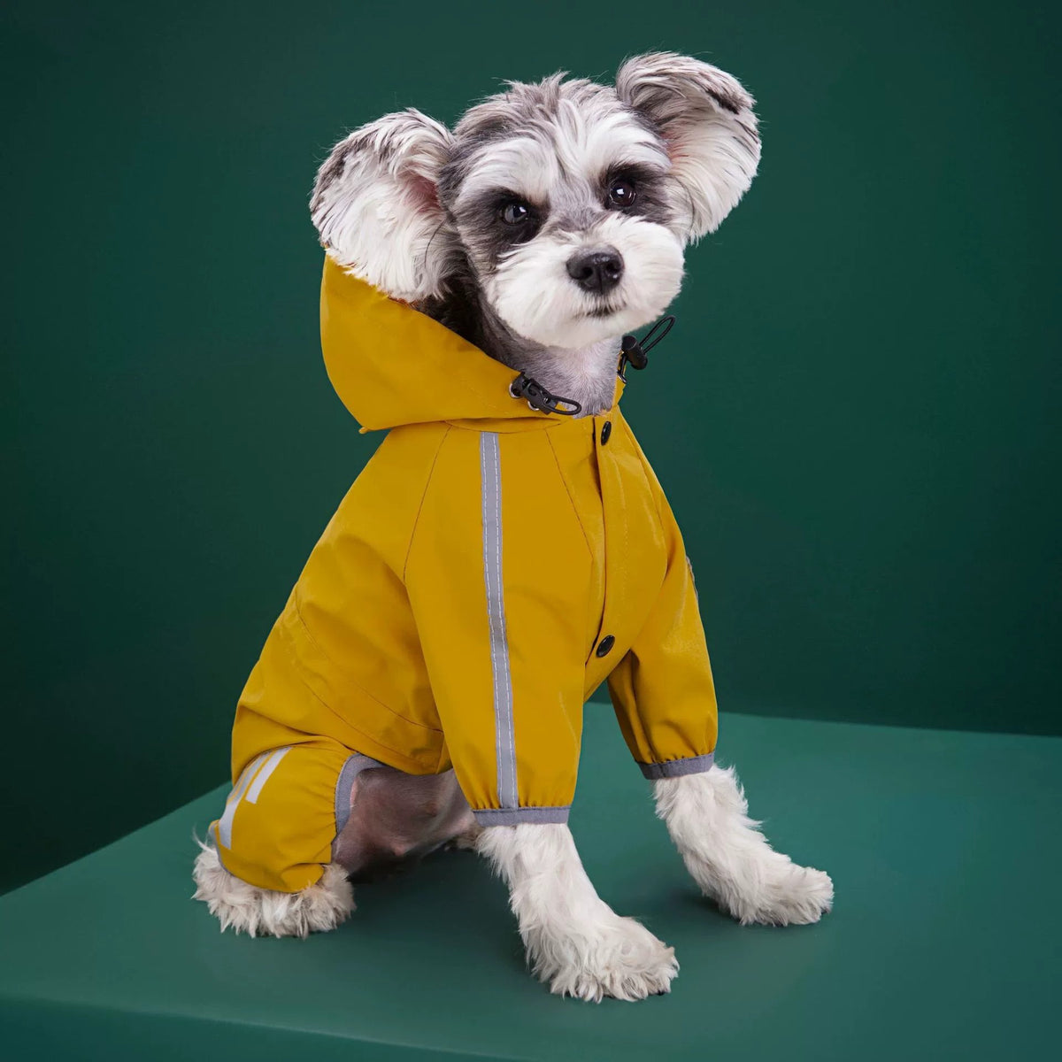 Chubasquero con capucha y tiras reflectantes para perros