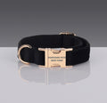 Collar de nailon negro para perro y gato - Pawsome Pets New York