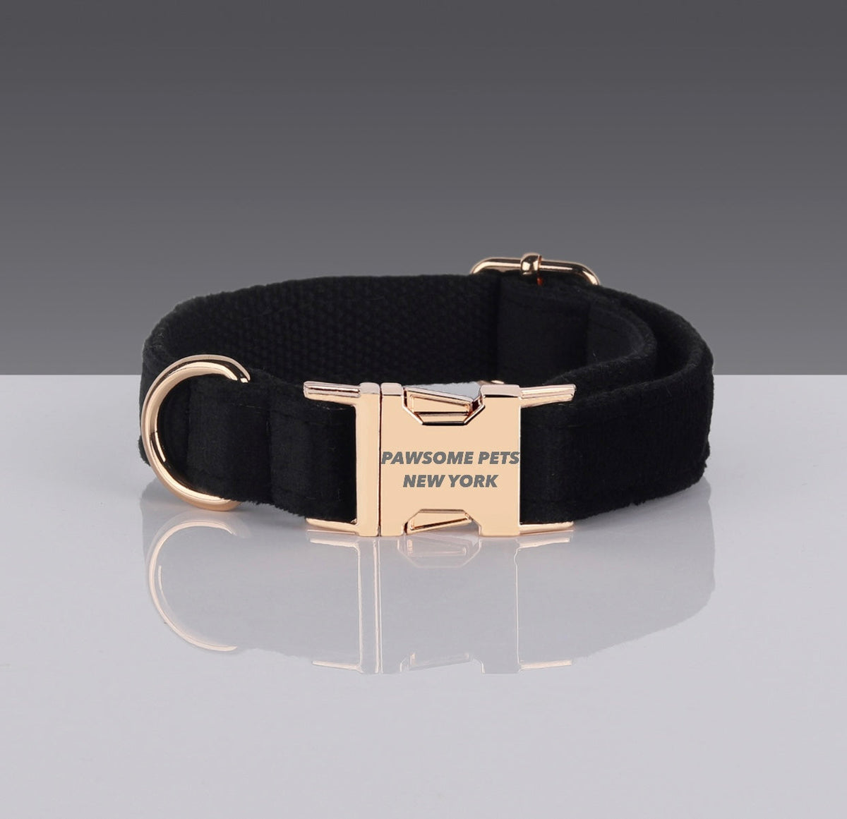 Collar de nailon negro para perro y gato - Pawsome Pets New York