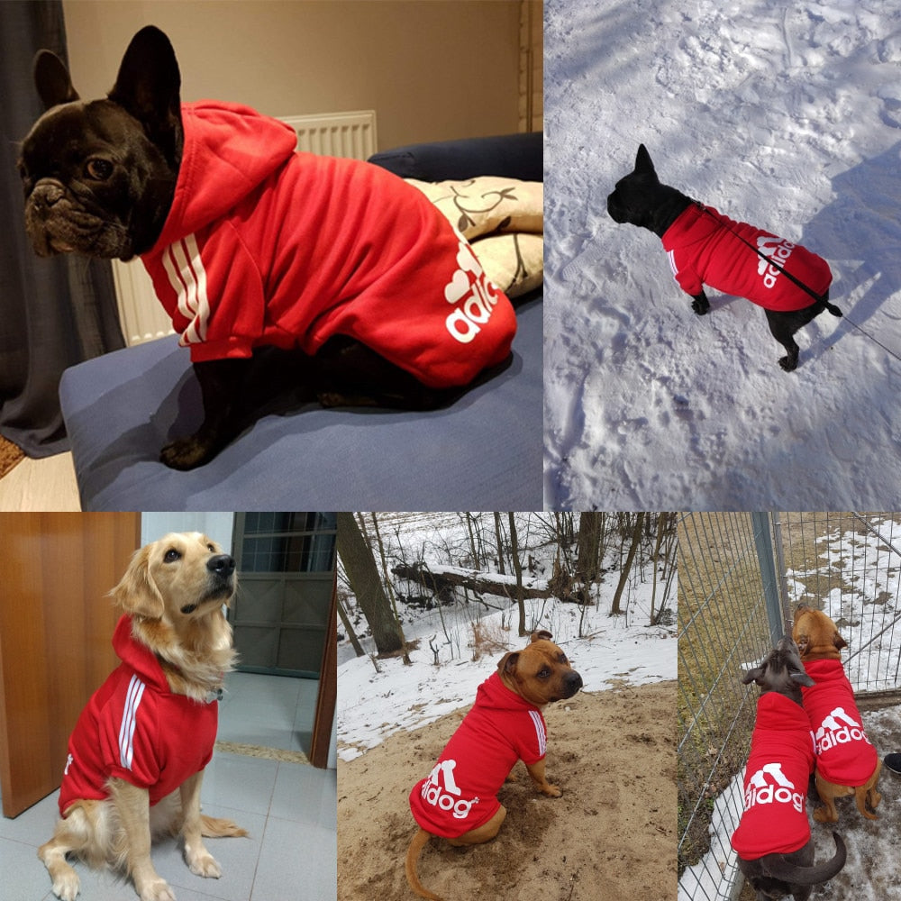 Sudadera con capucha para perros, de pequeños a grandes