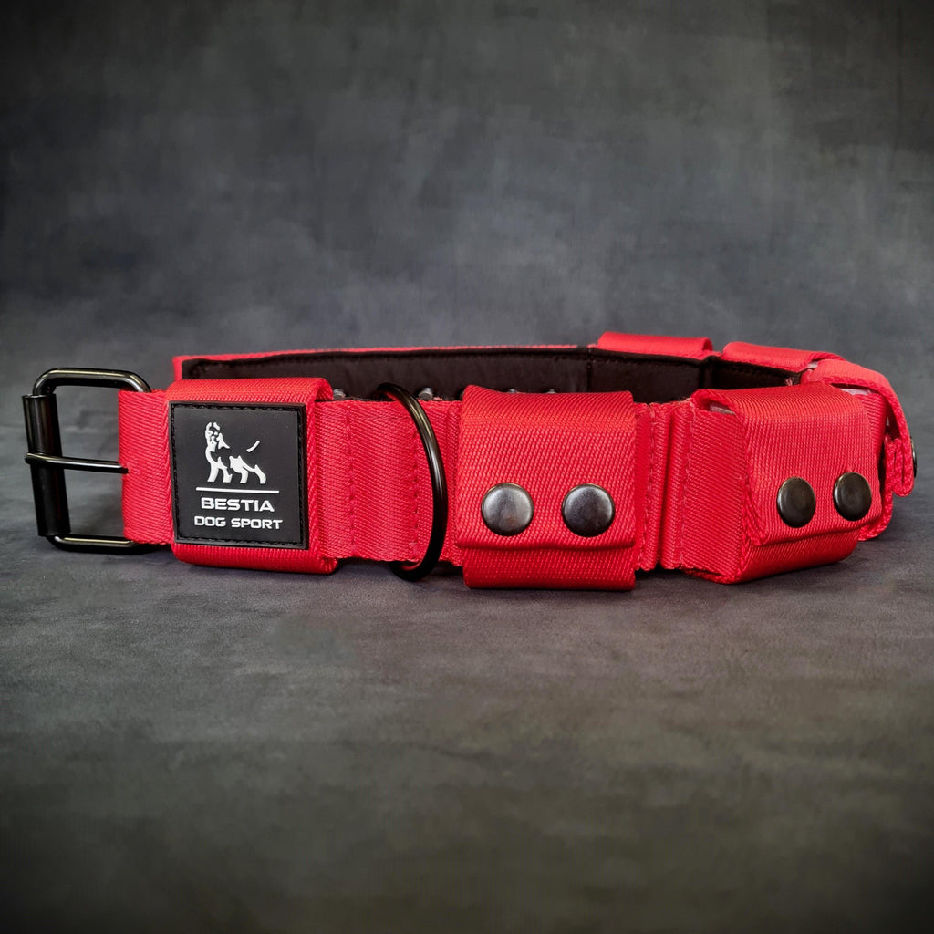Collar Bestia lastrado 2,3 kg para adiestramiento de razas grandes, foto 2 de 4