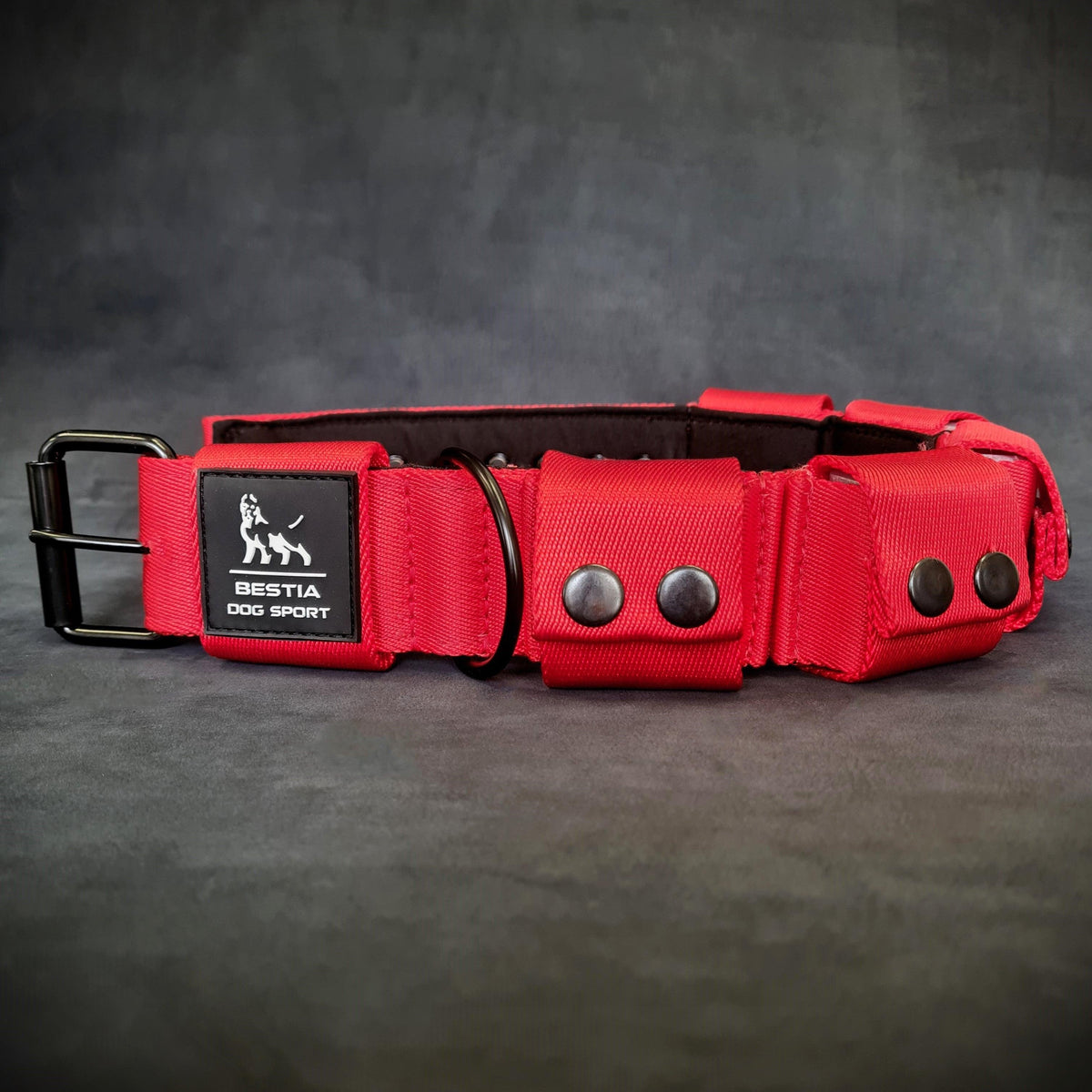 Collar Bestia lastrado 2,3 kg para adiestramiento de razas grandes, foto 2 de 4