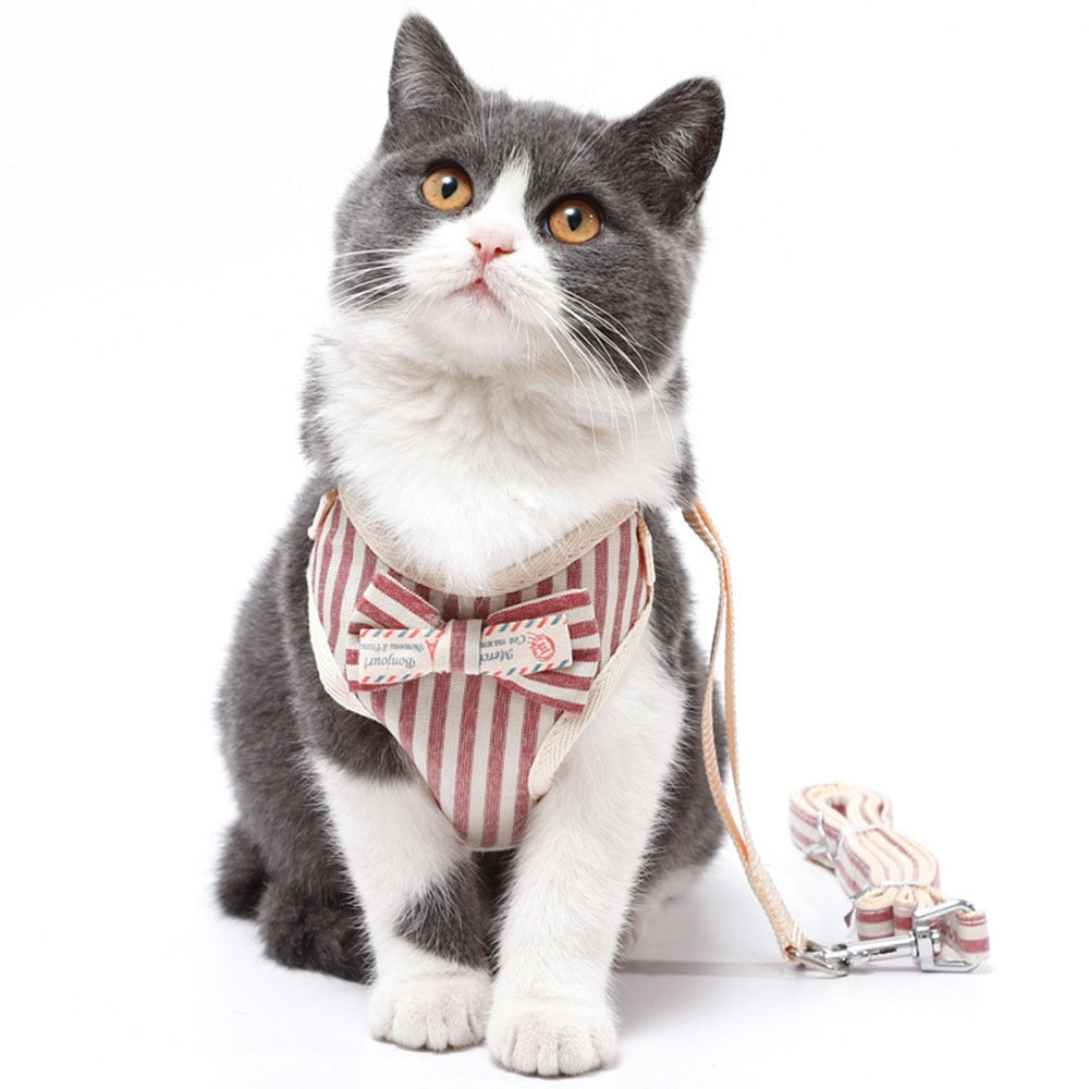 Arnés y correa de nylon para perros y gatos