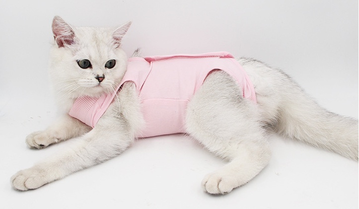 Body posoperatorio para gatos y perros pequeños