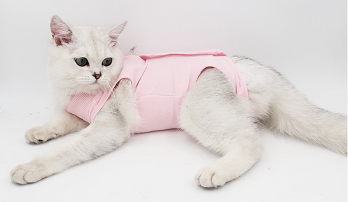 Body posoperatorio para gatos y perros pequeños