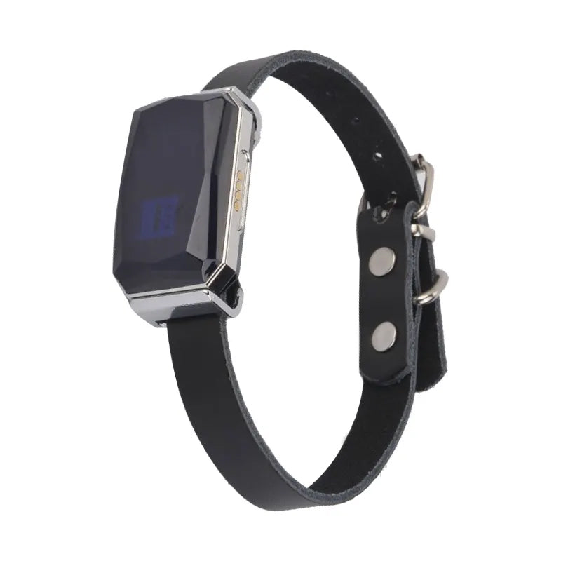 Localizador GPS para perros y gatos con collar